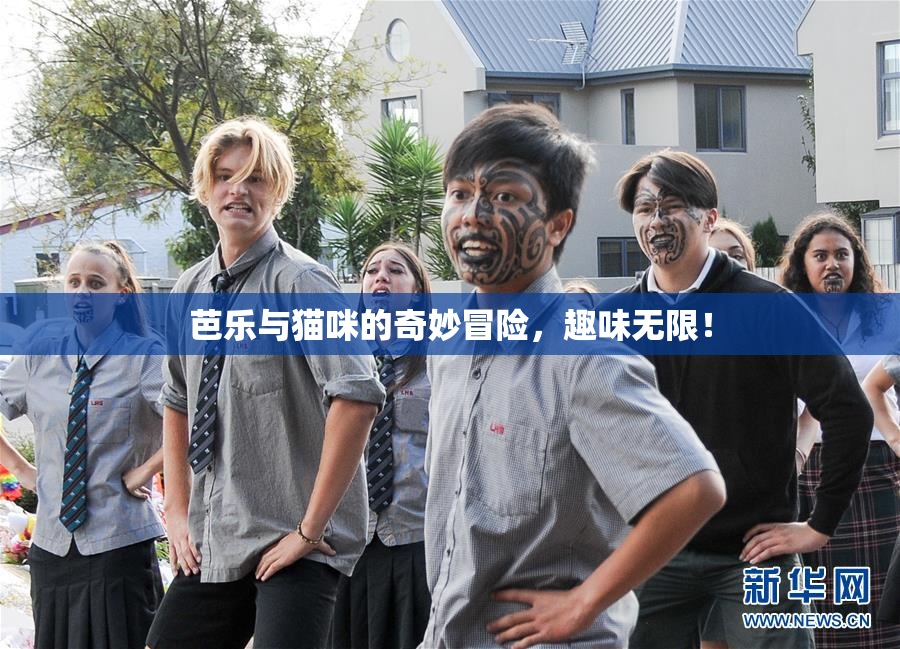 芭乐与猫咪的奇妙冒险，趣味无限！
