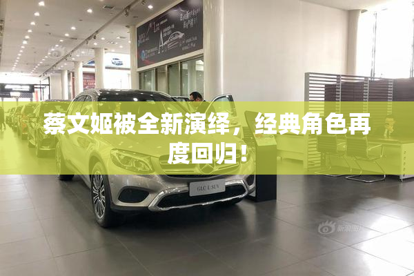 蔡文姬被全新演绎，经典角色再度回归！