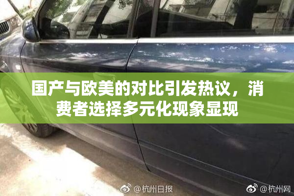 国产与欧美的对比引发热议，消费者选择多元化现象显现