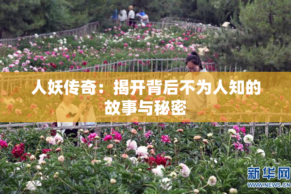人妖传奇：揭开背后不为人知的故事与秘密