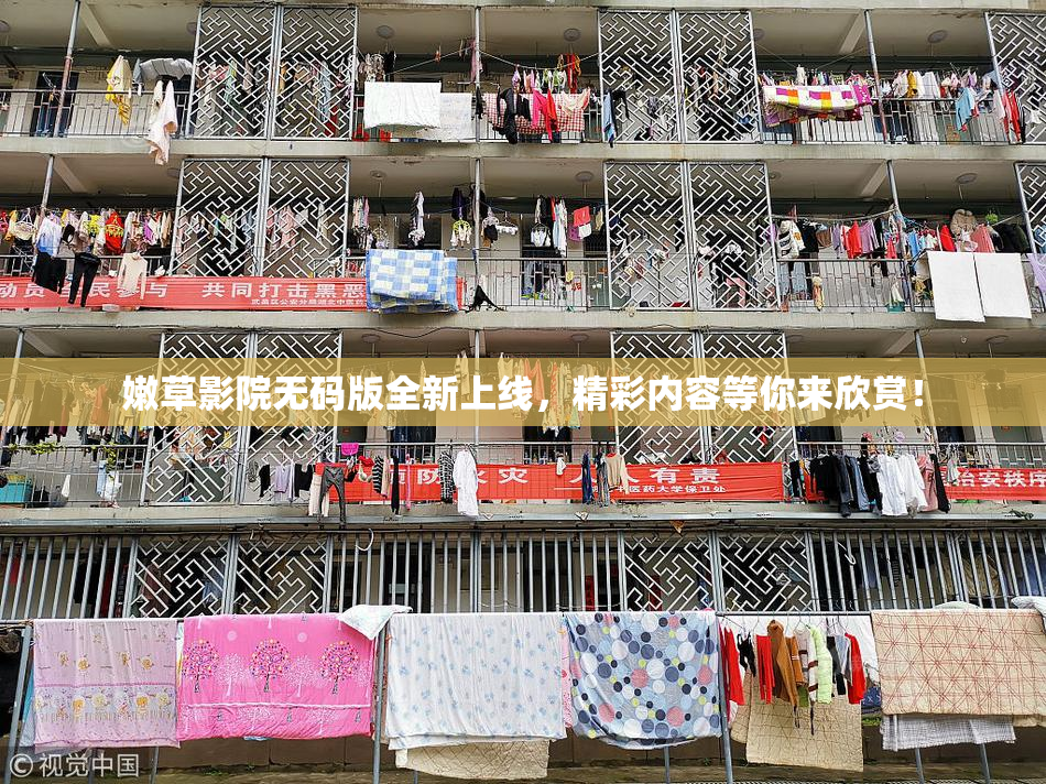 嫩草影院无码版全新上线，精彩内容等你来欣赏！