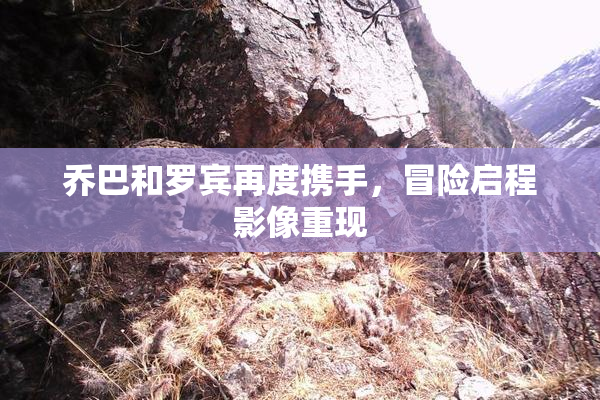 乔巴和罗宾再度携手，冒险启程影像重现
