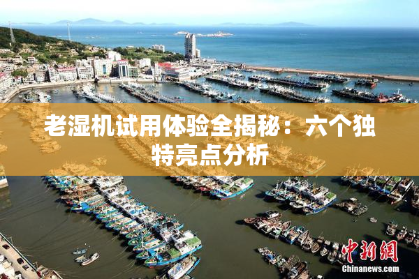 老湿机试用体验全揭秘：六个独特亮点分析