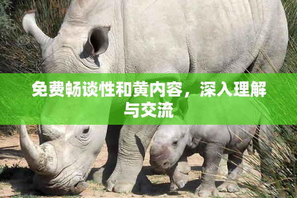 免费畅谈性和黄内容，深入理解与交流