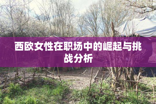 西欧女性在职场中的崛起与挑战分析