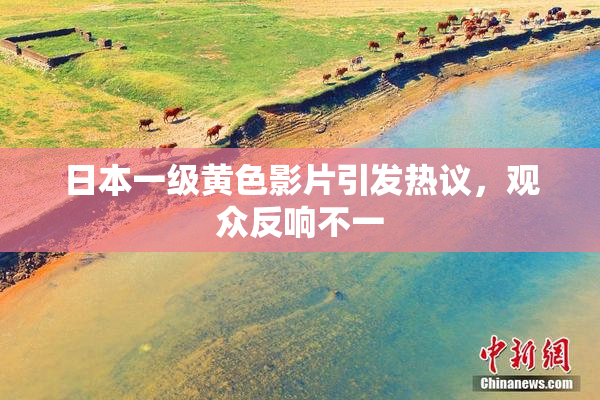 日本一级黄色影片引发热议，观众反响不一