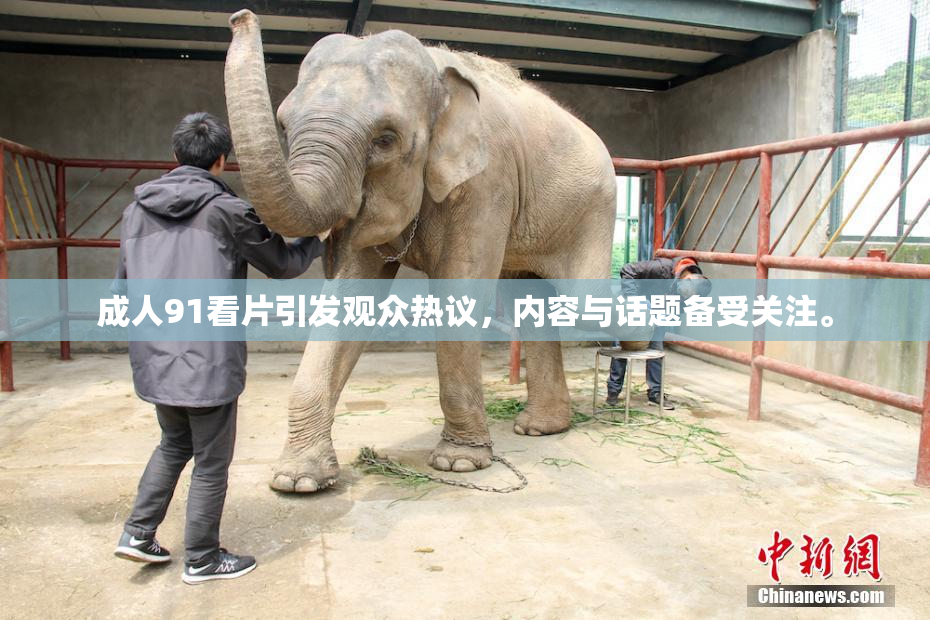 成人91看片引发观众热议，内容与话题备受关注。