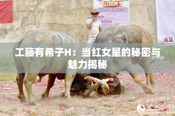 工藤有希子H：当红女星的秘密与魅力揭秘