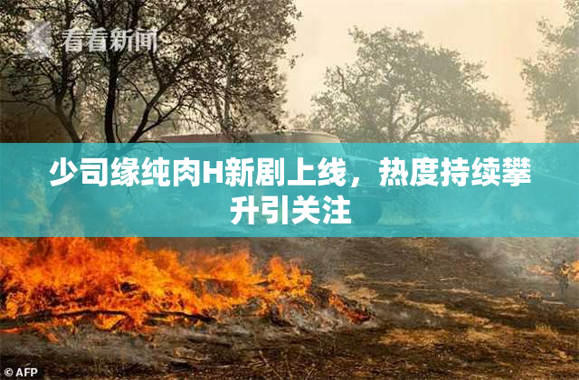 少司缘纯肉H新剧上线，热度持续攀升引关注