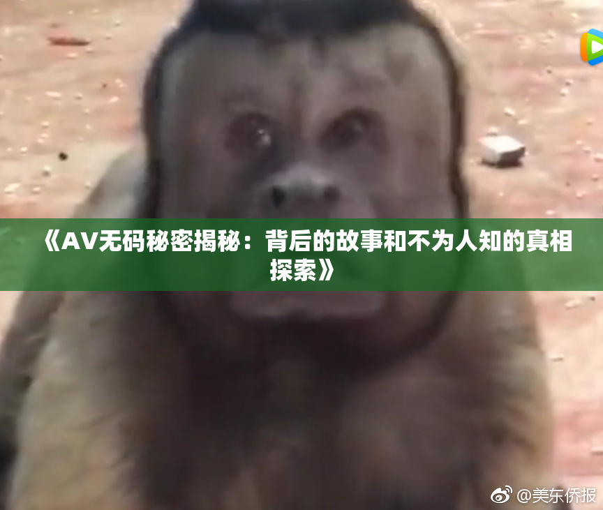 《AV无码秘密揭秘：背后的故事和不为人知的真相探索》