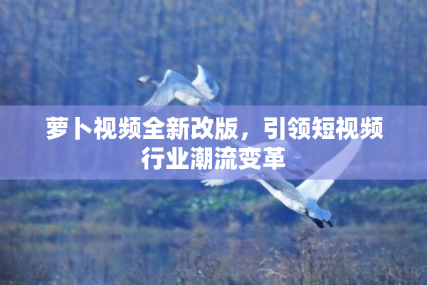 萝卜视频全新改版，引领短视频行业潮流变革