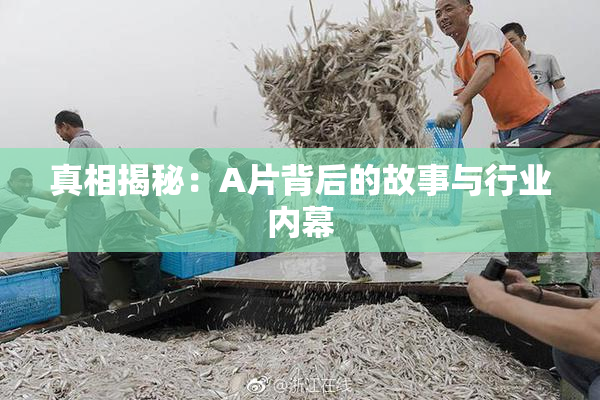 真相揭秘：A片背后的故事与行业内幕