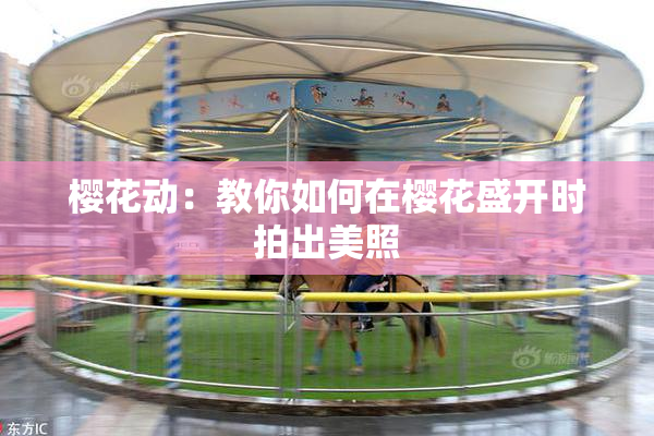 樱花动：教你如何在樱花盛开时拍出美照