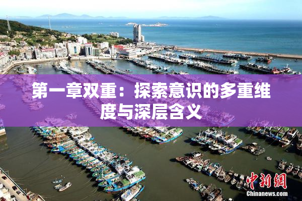 第一章双重：探索意识的多重维度与深层含义
