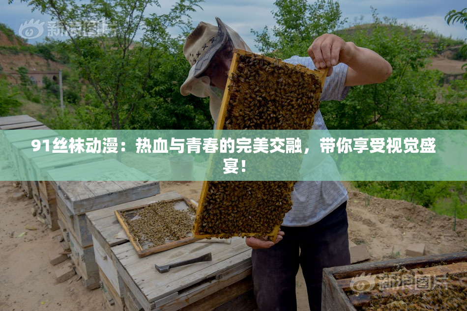 91丝袜动漫：热血与青春的完美交融，带你享受视觉盛宴！