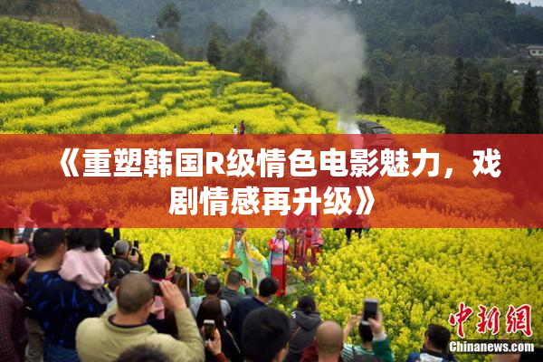 《重塑韩国R级情色电影魅力，戏剧情感再升级》