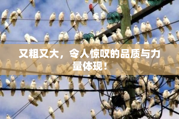 又粗又大，令人惊叹的品质与力量体现！