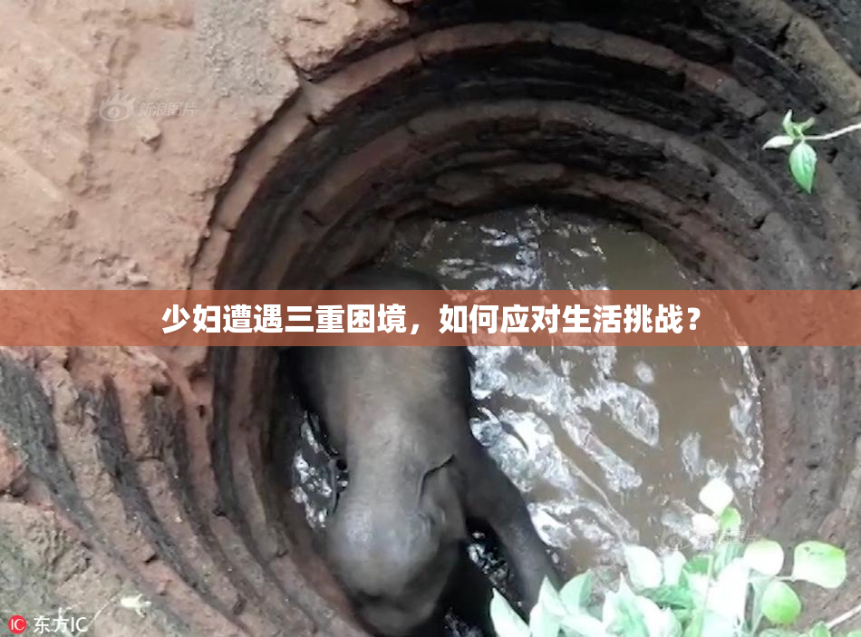 少妇遭遇三重困境，如何应对生活挑战？