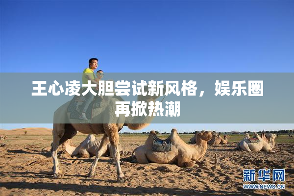 王心凌大胆尝试新风格，娱乐圈再掀热潮