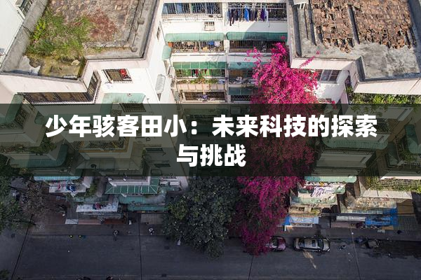 少年骇客田小：未来科技的探索与挑战