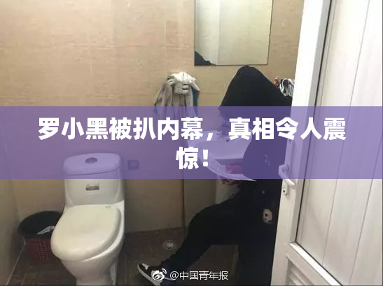 罗小黑被扒内幕，真相令人震惊！