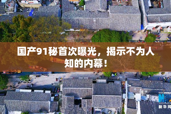 国产91秘首次曝光，揭示不为人知的内幕！