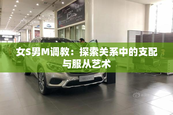 女S男M调教：探索关系中的支配与服从艺术