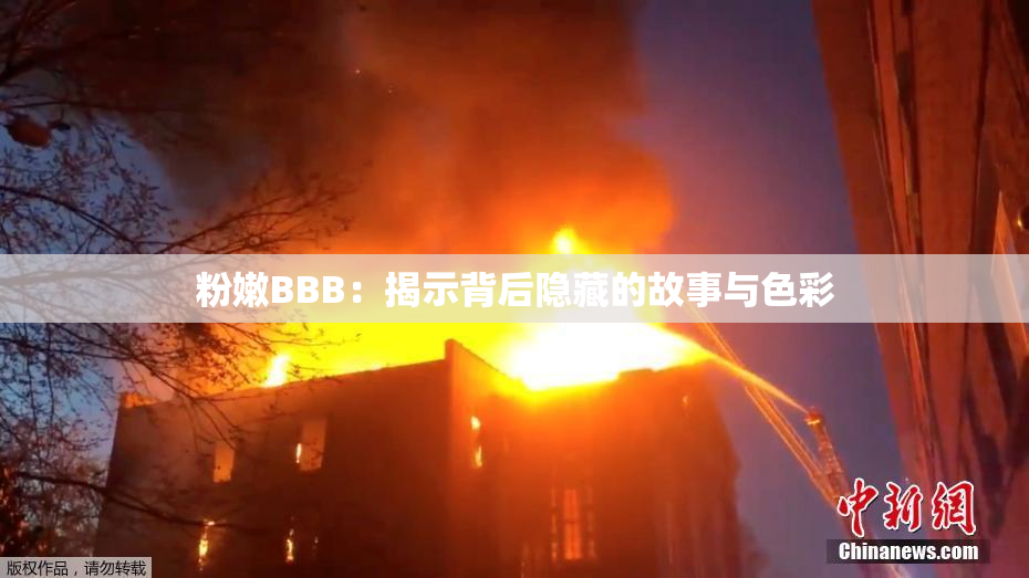 粉嫩BBB：揭示背后隐藏的故事与色彩