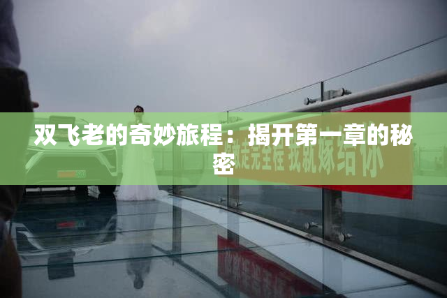 双飞老的奇妙旅程：揭开第一章的秘密