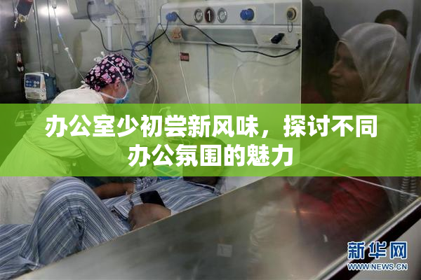 办公室少初尝新风味，探讨不同办公氛围的魅力