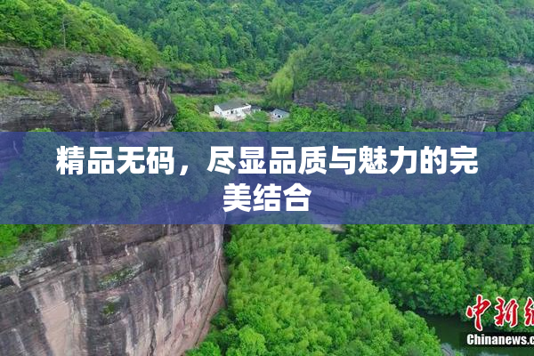 精品无码，尽显品质与魅力的完美结合