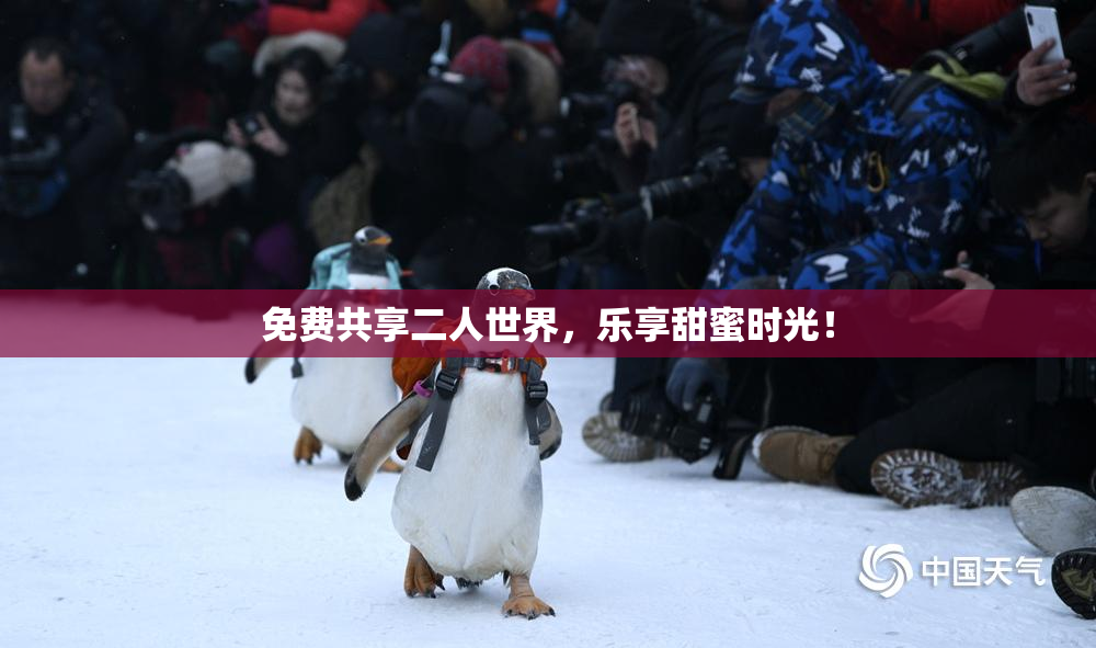 免费共享二人世界，乐享甜蜜时光！