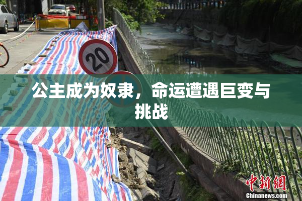 公主成为奴隶，命运遭遇巨变与挑战