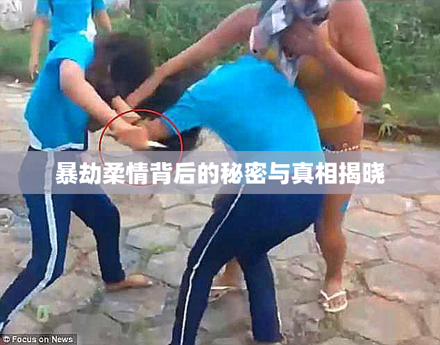 暴劫柔情背后的秘密与真相揭晓