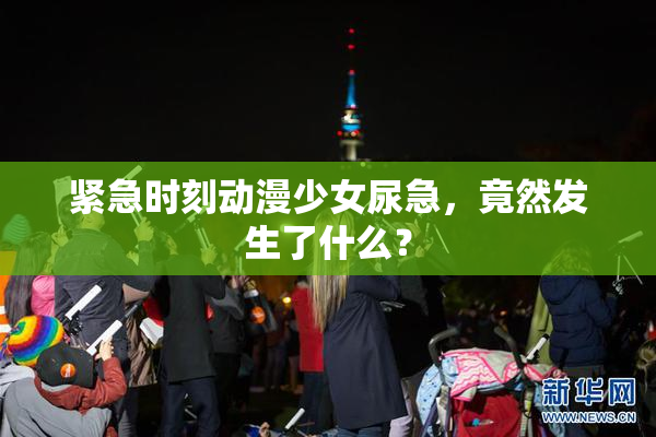 紧急时刻动漫少女尿急，竟然发生了什么？