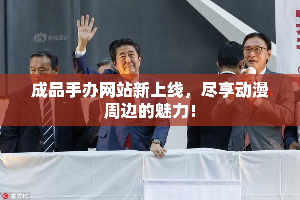 成品手办网站新上线，尽享动漫周边的魅力！