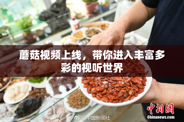 蘑菇视频上线，带你进入丰富多彩的视听世界