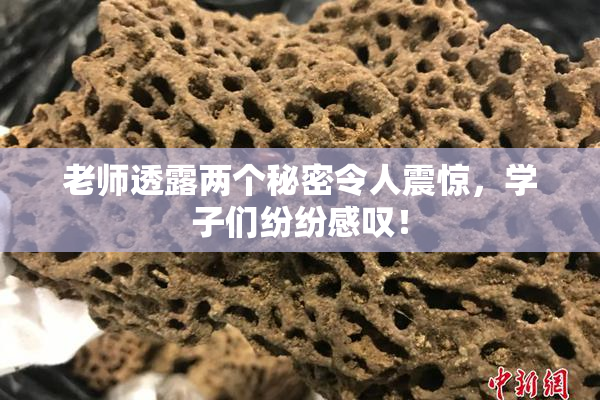 老师透露两个秘密令人震惊，学子们纷纷感叹！