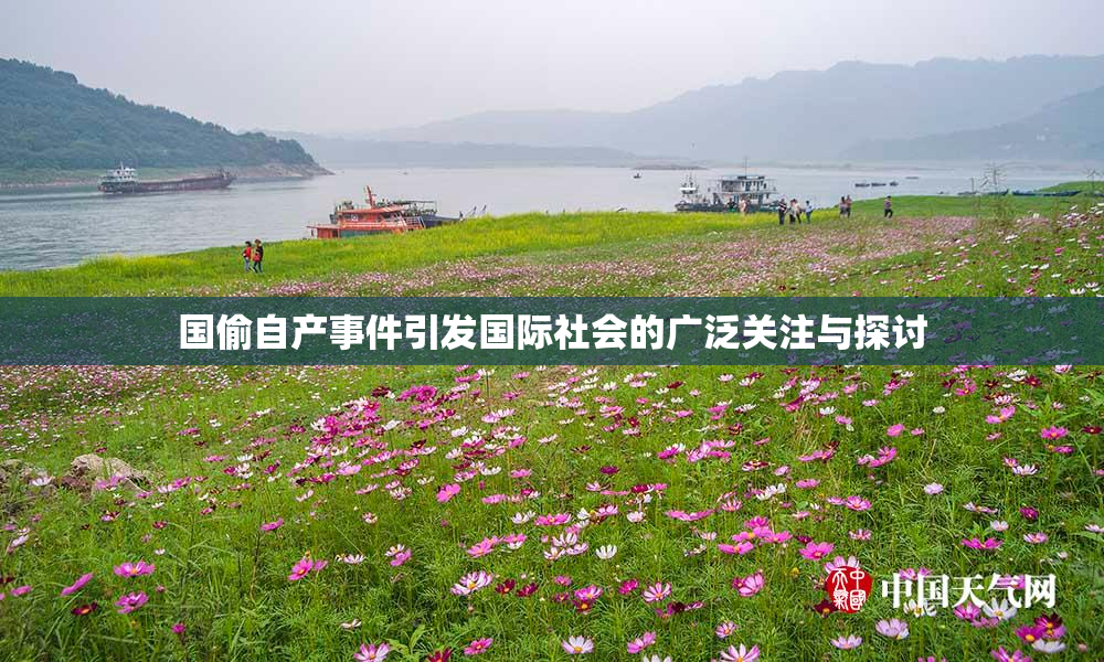 国偷自产事件引发国际社会的广泛关注与探讨