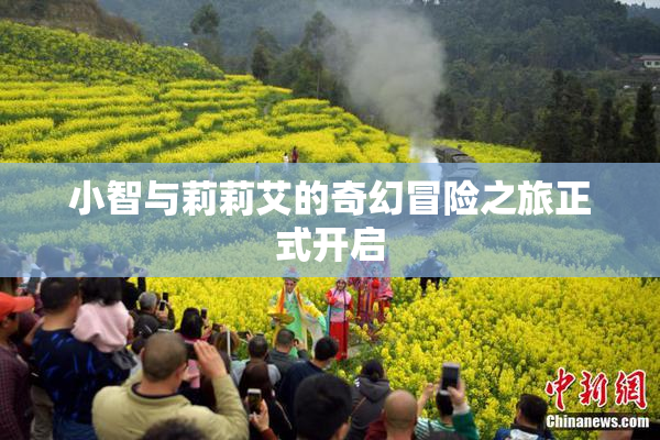 小智与莉莉艾的奇幻冒险之旅正式开启