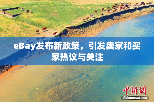 eBay发布新政策，引发卖家和买家热议与关注