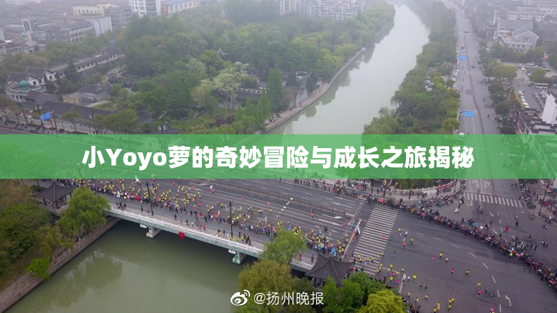 小Yoyo萝的奇妙冒险与成长之旅揭秘