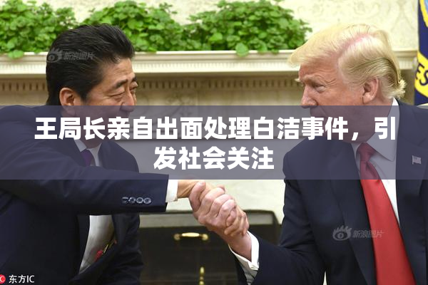 王局长亲自出面处理白洁事件，引发社会关注