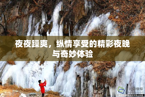 夜夜躁爽，纵情享受的精彩夜晚与奇妙体验