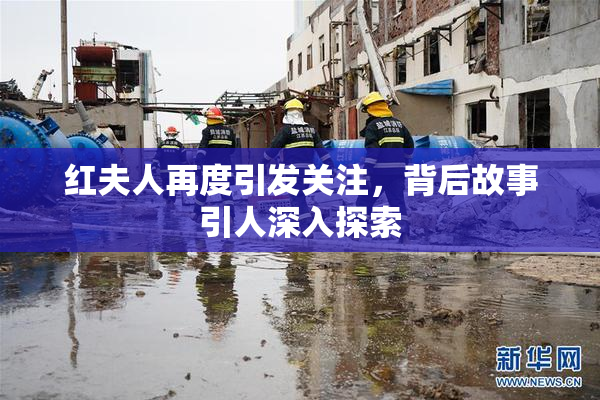 红夫人再度引发关注，背后故事引人深入探索