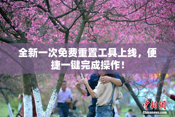 全新一次免费重置工具上线，便捷一键完成操作！