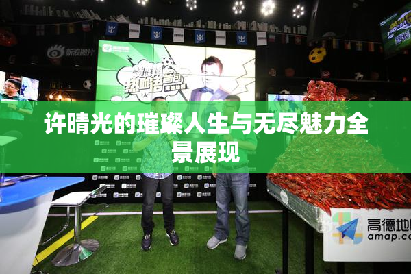 许晴光的璀璨人生与无尽魅力全景展现