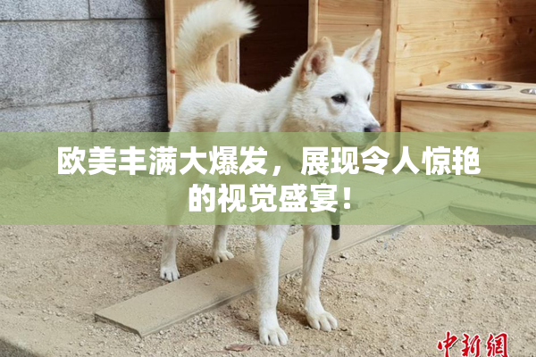 欧美丰满大爆发，展现令人惊艳的视觉盛宴！