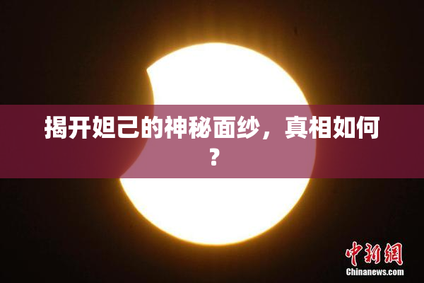 揭开妲己的神秘面纱，真相如何？