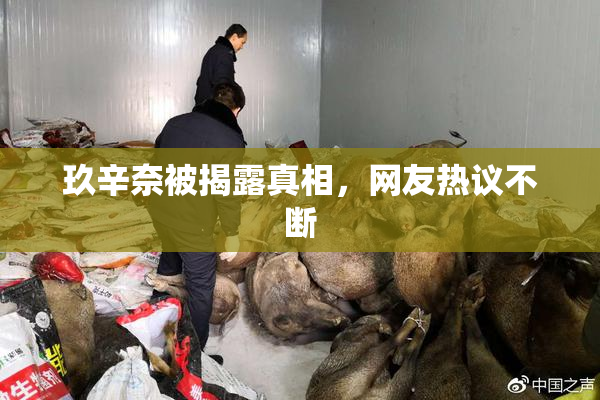 玖辛奈被揭露真相，网友热议不断